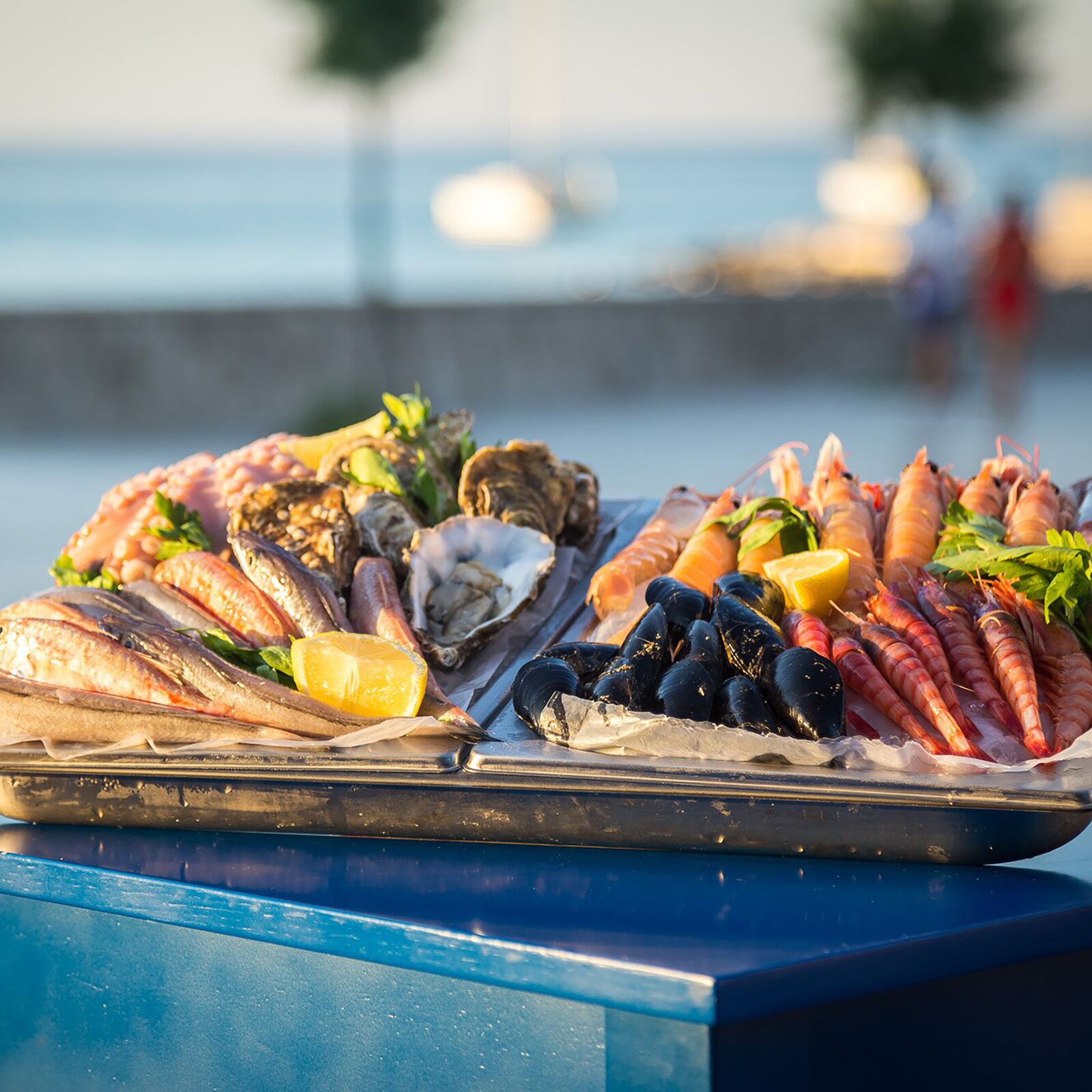 Degustazione enogastronomica salentina