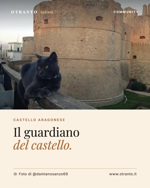 Gatto nero sulle mura del Castello Aragonese di Otranto al tramonto